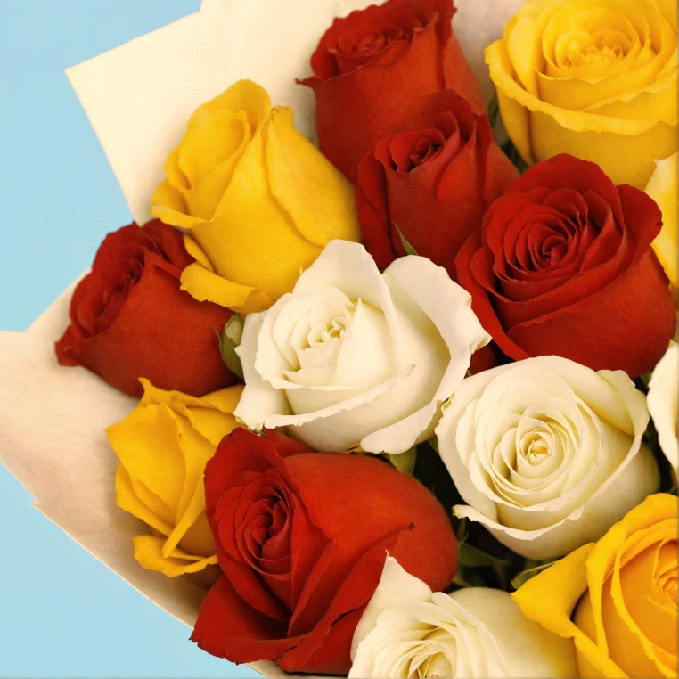 Product image 144