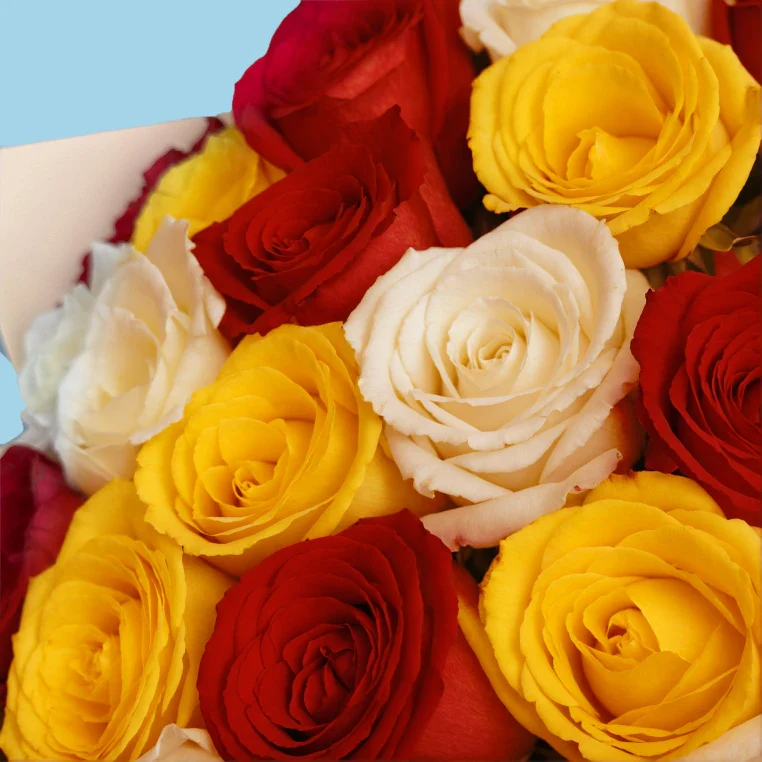 Product image 147