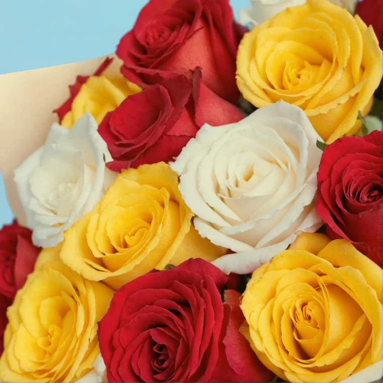 Product image 159