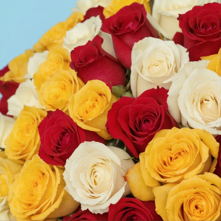 Product image 163