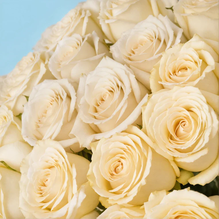 Product image 179