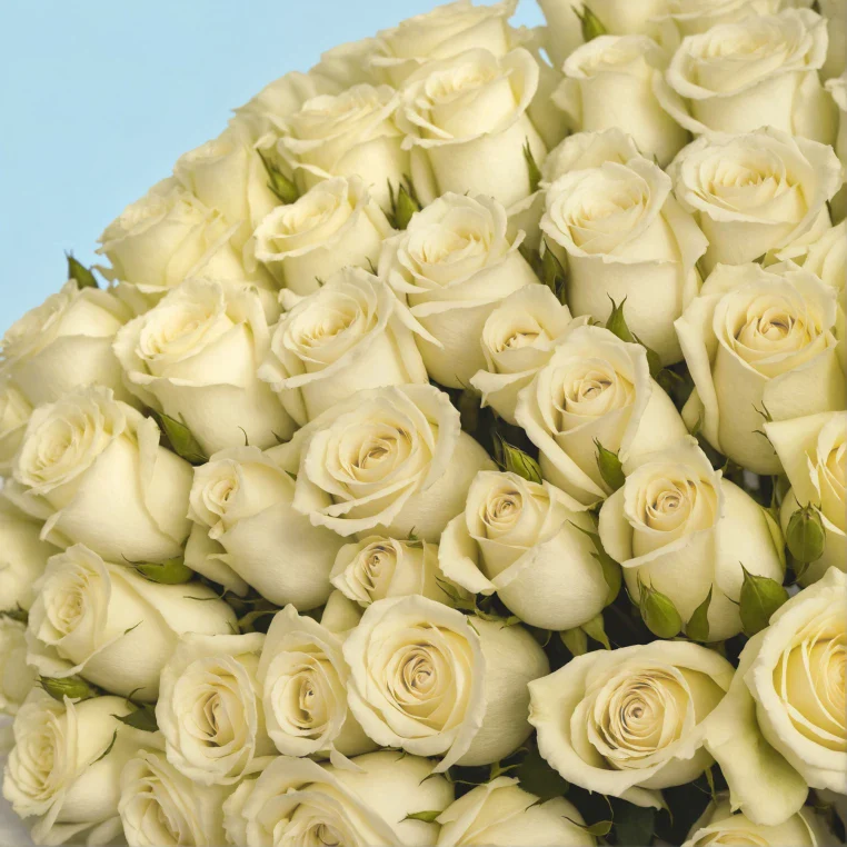 Product image 188