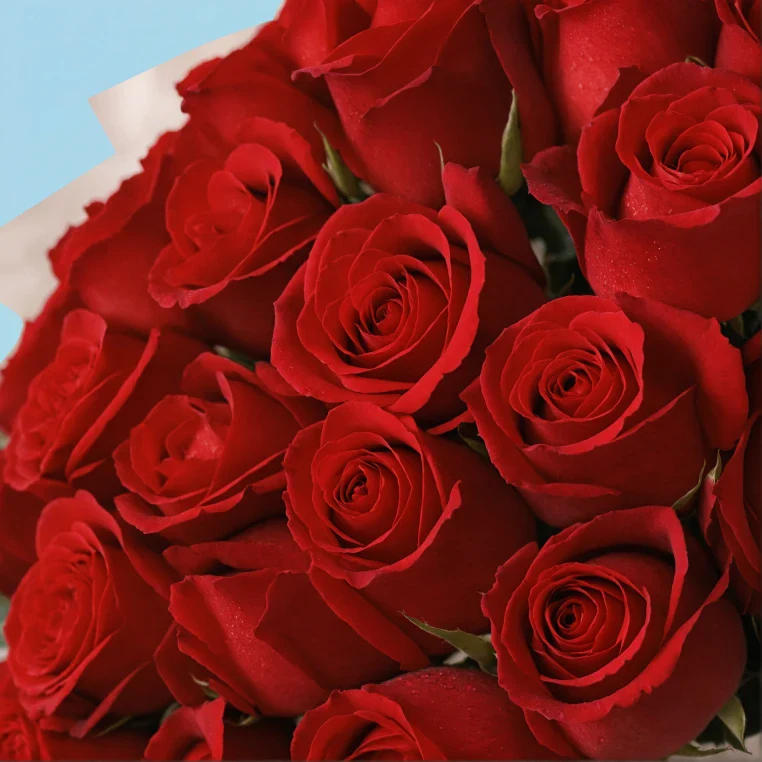 Product image 207