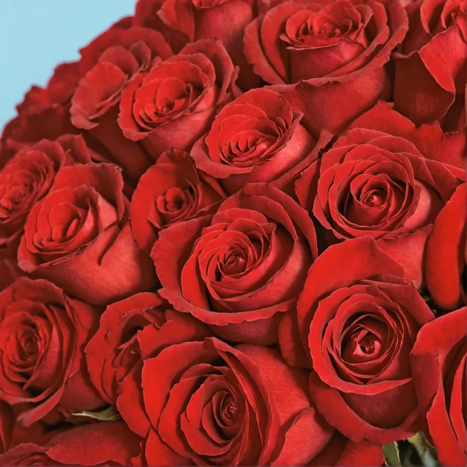 Product image 221