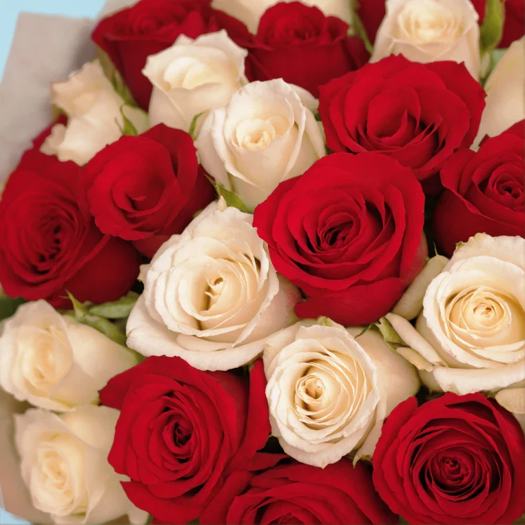 Product image 229