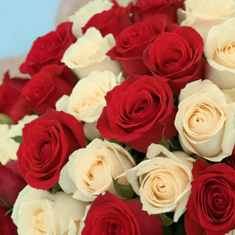 Product image 232