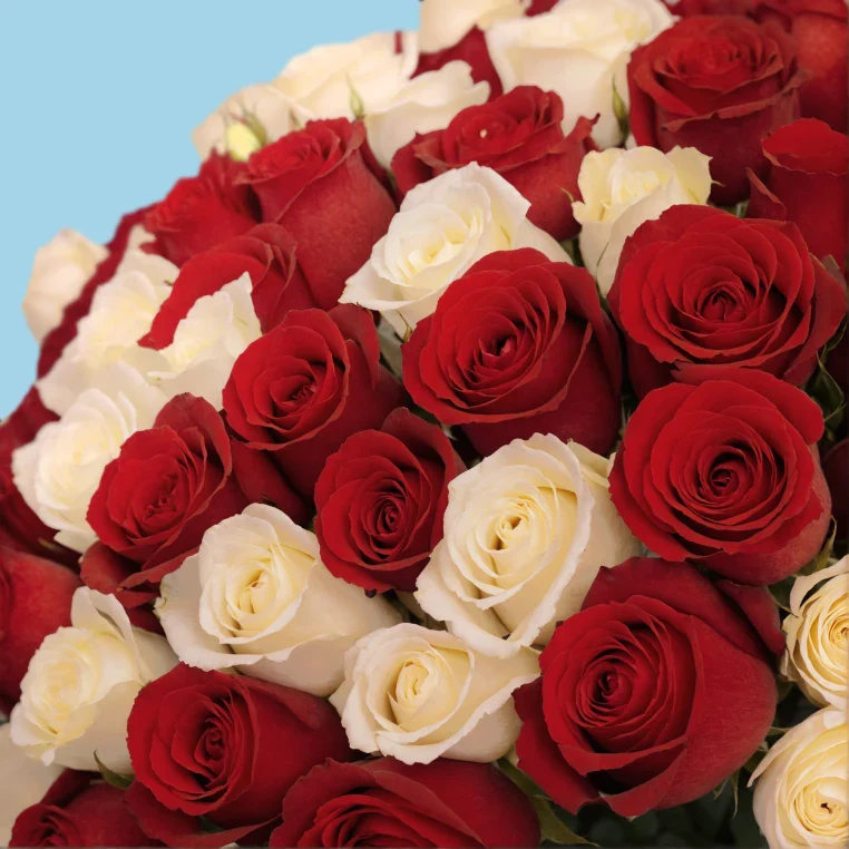 Product image 239