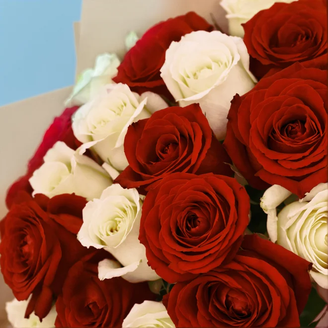 Product image 245