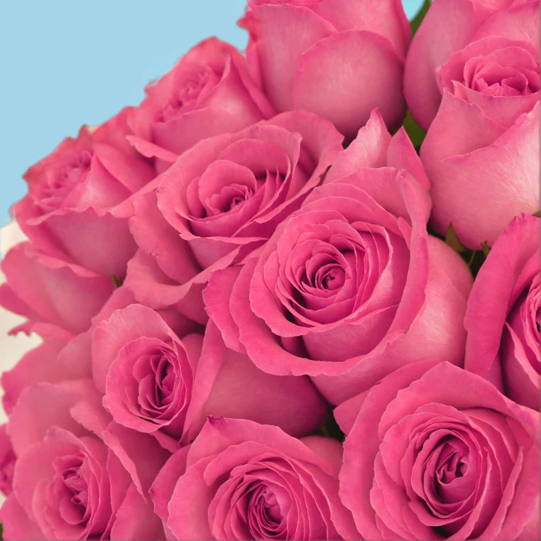 Product image 110